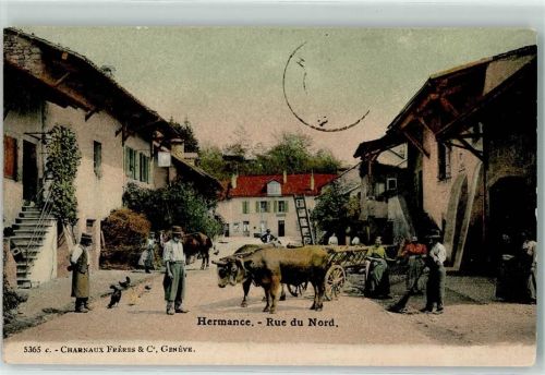 Hermance 1906 Rue du Nord Viehwagen Leiter Landwirtschaft Heu