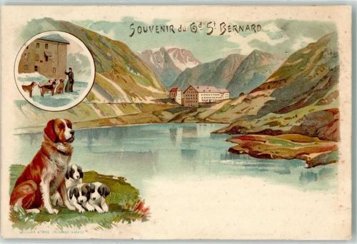Bourg-St-Pierre 1908 Hospiz auf dem Grossen St. Bernhard Hunde Bernardiener