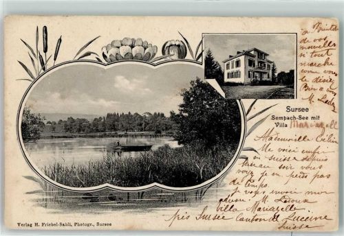 Sursee 1905 Sempach-See mit Villa