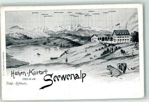 Flühli LU 1909 Flühli-Entlebuch Kühe Seewenalp sign.