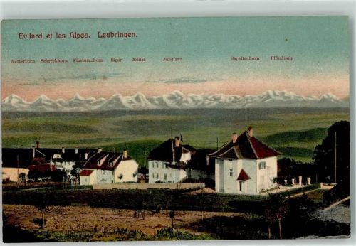 Leubringen 1912 Wetterhorn Schreckhorn Finsterhorn Eiger Mönch Jungfrau Gspaltenhorn Blümlihorn