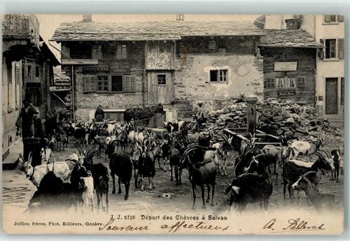 Salvan 1906 Depart des Chevres Ziegen