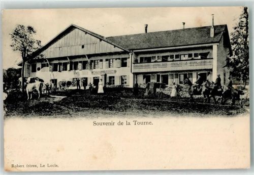 Col de la Tourne Hotel de la Tourne Rindvieh