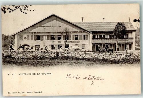 Col de la Tourne 1899 Hotel de la Tourne Rindvieh