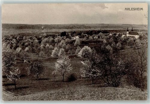 4144 Arlesheim - Baumblüte