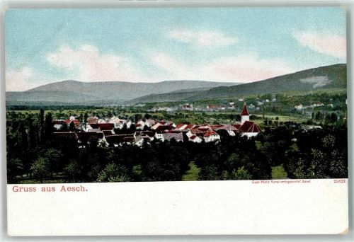 4147 Aesch BL Lithographie
