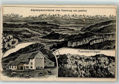 Ramiswil 1914 Gasthaus Alpen vom Passwang gesehen Aussichtspunkt Signal Kühe Pferde