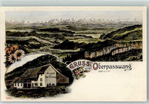 Ramiswil 1907 Gasthaus zum Ober-Passwang Kühe Pferde