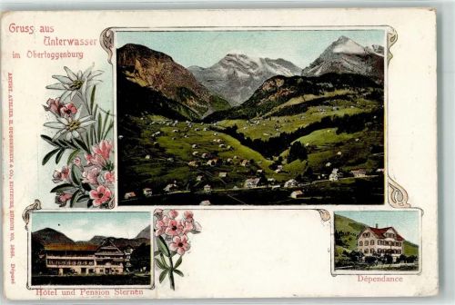 9657 Unterwasser 1902 Lithographie Hotel u. Pension Sternen Dependance