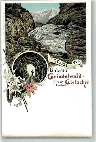 Grindelwald Unterer Grindelwald Gletscher Edelweiß