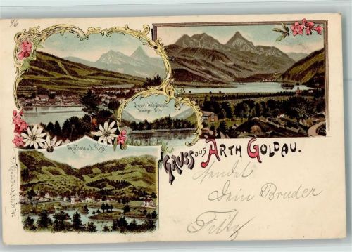6415 Arth Lithographie Insel Schwanau Goldau Rigi