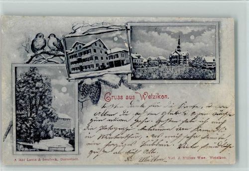 Wetzikon ZH Winter - Gruss aus -