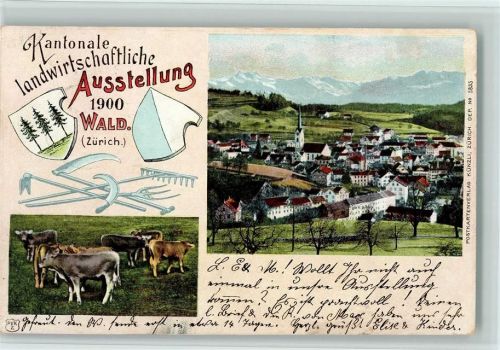 Wald ZH 1900 Landwirtschaft Ausstellung 1900 AK Künzli Verlag 5835 AK