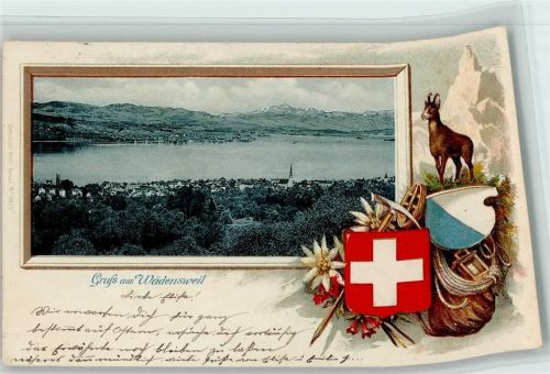 Wädenswil 1904 Passepartout Jagd Gämse Rucksack Edelweiss Scan verzogen