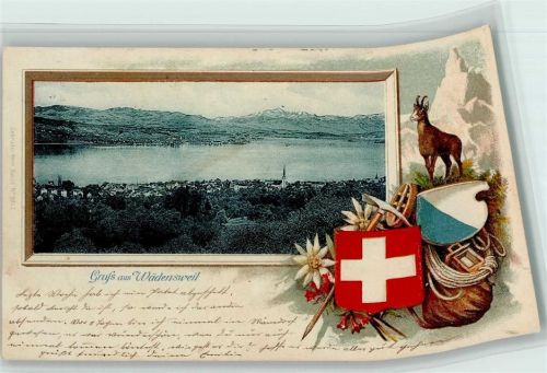 Wädenswil 1903 Passepartout Jagd Gämse Rucksack Edelweiss Scan verzogen