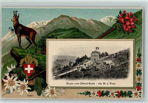 Hörnli Passepartout Jagd Gämse Edelweiss