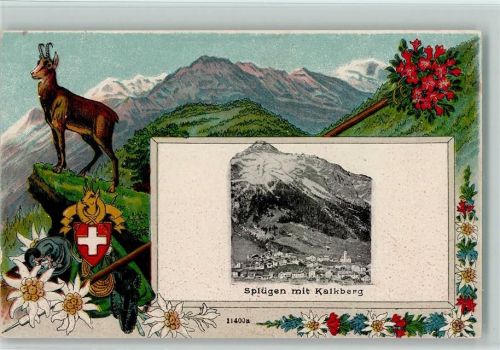 Splügen Passepartout Jagd Gämse Edelweiss
