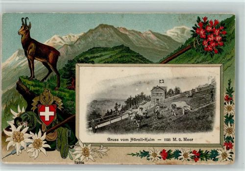 Hörnli Passepartout Jagd Gämse Edelweiss Hörnli-Kulm