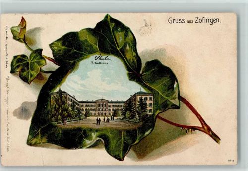 Zofingen 1910 Passepartout Efeublatt Schulhaus