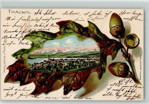 Thalwil 1905 Passepartout Eichenblatt