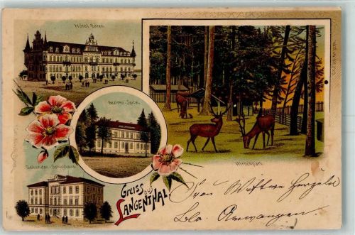 Langenthal 1902 Hotel Bären Bezirks-Spital Sekundar-Schulhaus Hirschpark