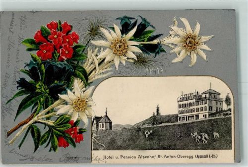 Oberegg Prägedruck Hotel Pension Alpenhof St. Anton Edelweiss Enzian Lithographie