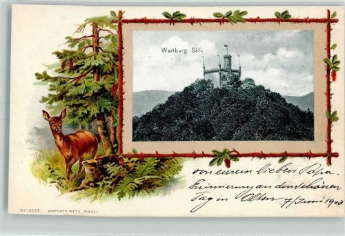 Säli 1903 Wartburg Jagd Reh Passepartout Lithographie