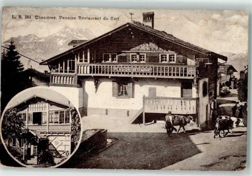 Chesières 1917 Gasthaus Pension Restaurant du Cerf Kühe