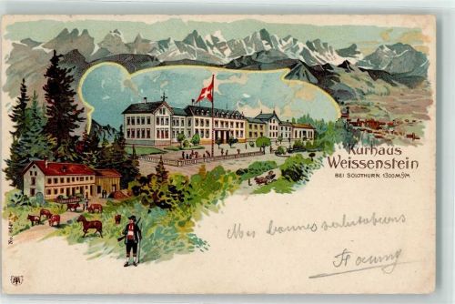 Weissenstein b. Solothurn 1902 Kurhaus Kühe Pferd Tracht