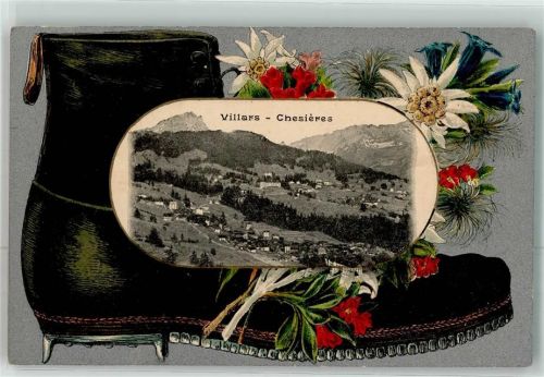 Villars VD Chesieres Passepartout Edelweiß Enzian Schuh Lithographie