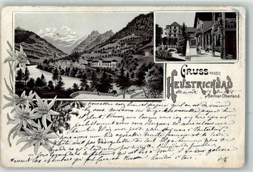 Emdthal 1902 Bad Heustrich Lithographie Edelweiß