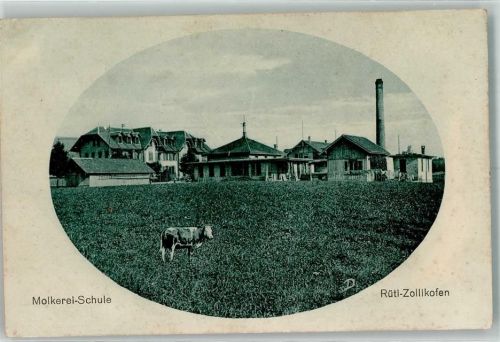 Zollikofen Molkerei Schule