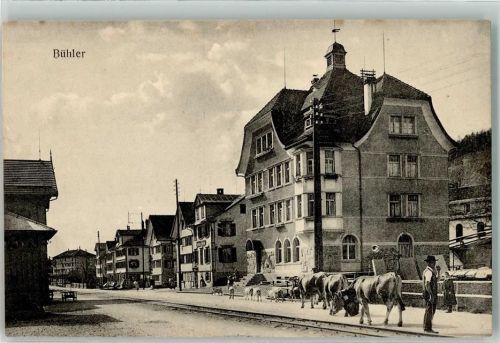 Bühler Kühe Tracht