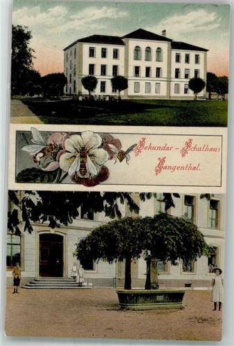 Langenthal 1917 Schule