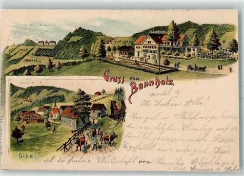 Gibel Innertkirchen 1906 Bannholz Sanatorium Gibel Lithographie