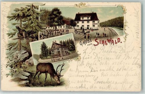Sihlwald 1898 Gruss aus Verlag Carl Künzli Nr. 1005 AK