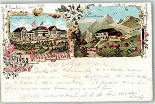 Weissenstein b. Solothurn 1902 Kurhaus Sennhütte Kühe