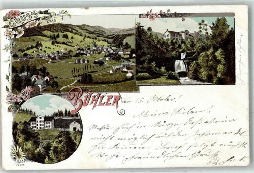 Bühler 1898