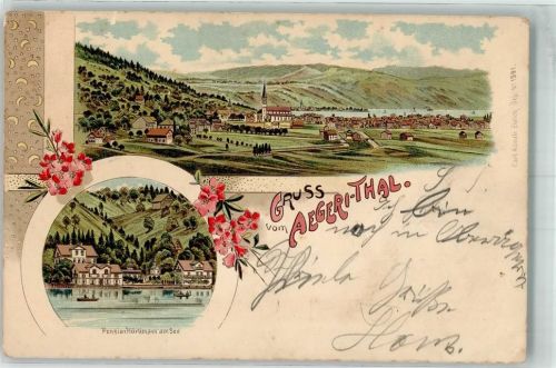 Aegerisee 1899 Pension Hürlimann am See Lithographie Verlag Künzli Nr 1591