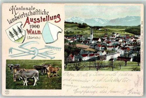 Wald ZH Kantonale landwirtschaftliche Ausstellung 1900 Kühe Verlag Künzli Nr 5835