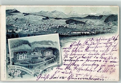 Wald ZH 1899 Sanatorium