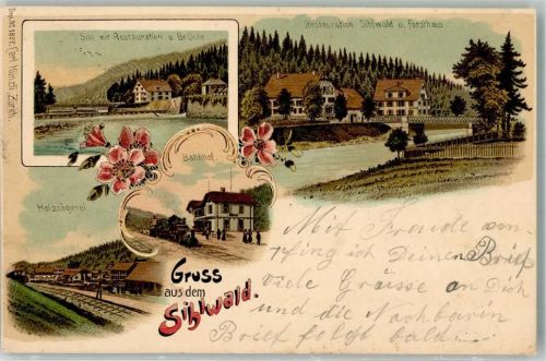 Sihlwald 1899 Holzsägerei Bahnhof Gasthaus