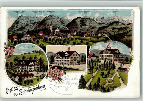 Schwarzenberg LU 1908 Pension Matt Gasthaus Kreuz u. Rössli Lithographie