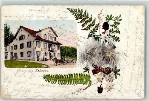 Zofingen 1909 Römerbad Lithographie Farn