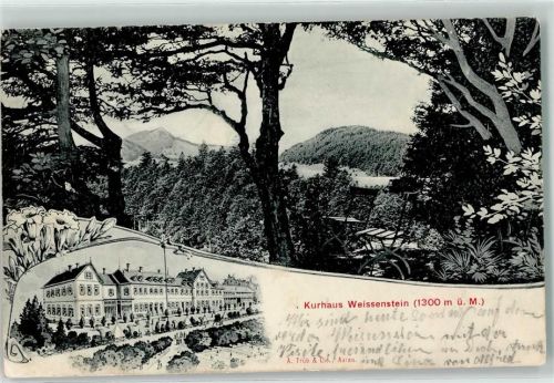 Weissenstein b. Solothurn 1907 Kurhaus
