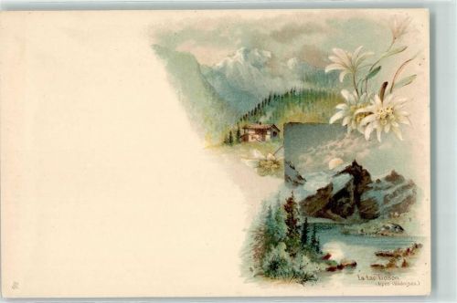 Lac Lioson Edelweiss