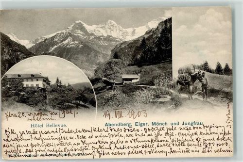 Abendberg 1903 Hotel Bellevue Esel