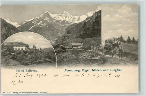 Abendberg 1905 Hotel Bellevue Hüttenstempel Esel