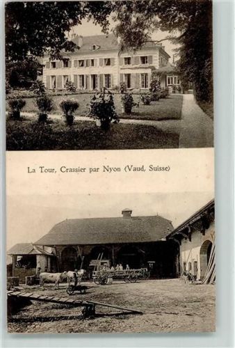 Nyon la Tour Crassier Rindvieh