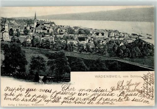 Wädenswil 1902 vom Schloss aus